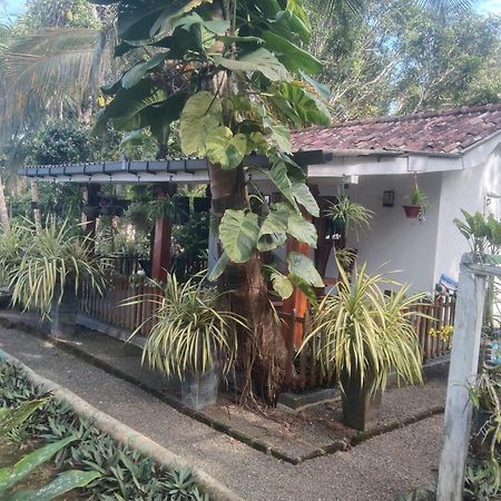 Lovers Green Villa Matara Exterior foto